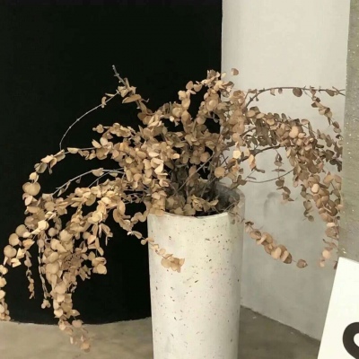 Furry绘画色彩搭配FurryQQ群